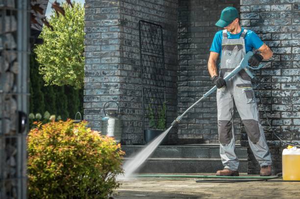 Best Gutter Cleaning  in Nneconne, WI